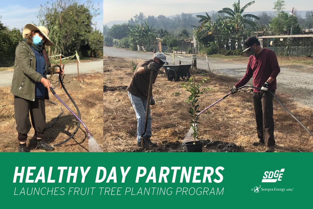 Healthy Day Partners Launches Fruit Tree Planting Program