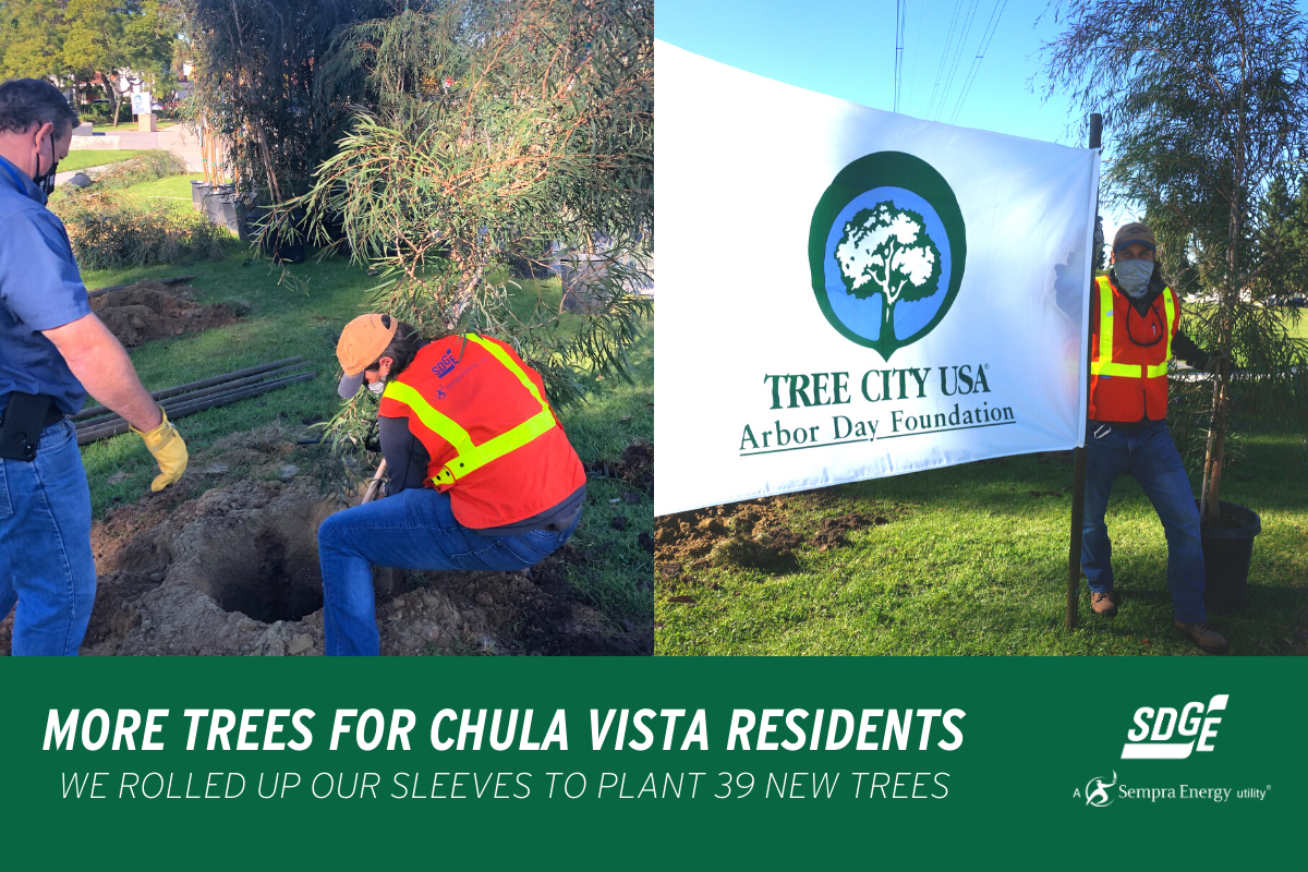 More Trees for Chula Vista Residents