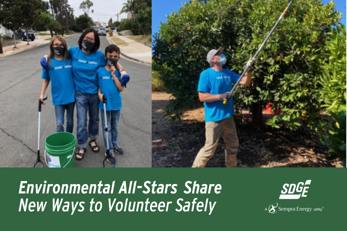 Environmental All-Stars Share New Ways to Volunteer Safely