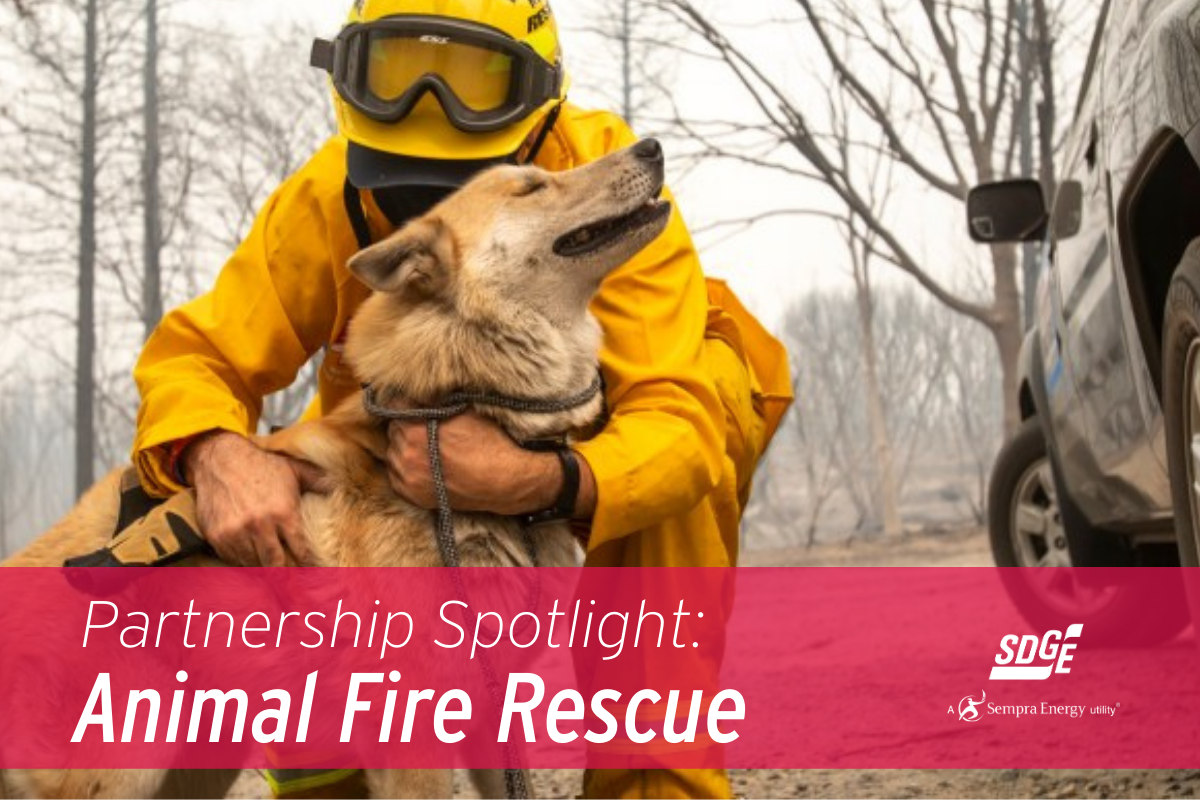 Partnership Spotlight: Animal Fire Rescue