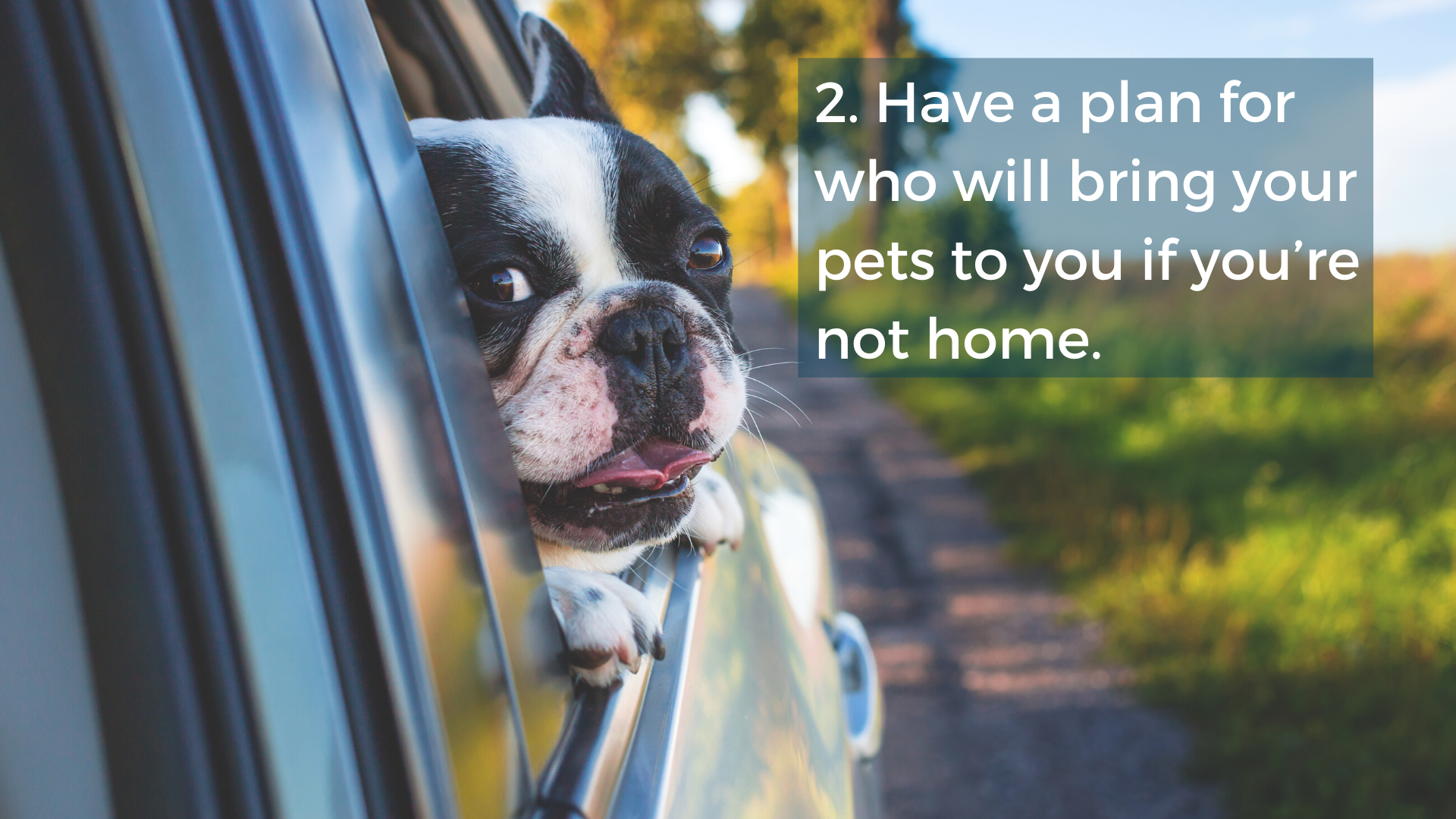 Who will bring your pet to you if you're not home?