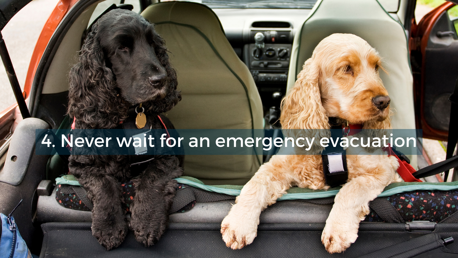 Never wait for an evacuation order.