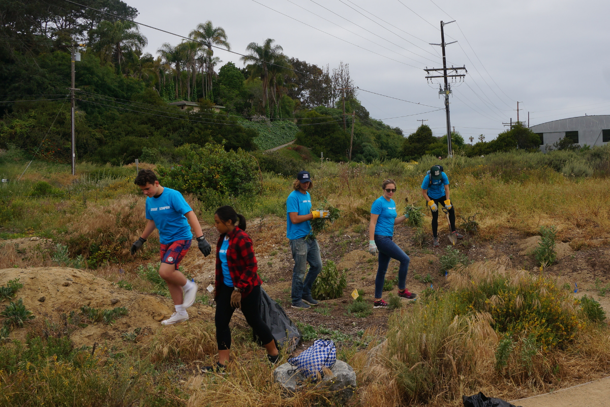 Volunteers work to clean up San Dieguito Lagoon.