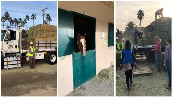 SDG&E Donates A Truck Load of Animal Feed to Evacuated Horses at Del Mar Fairgrounds