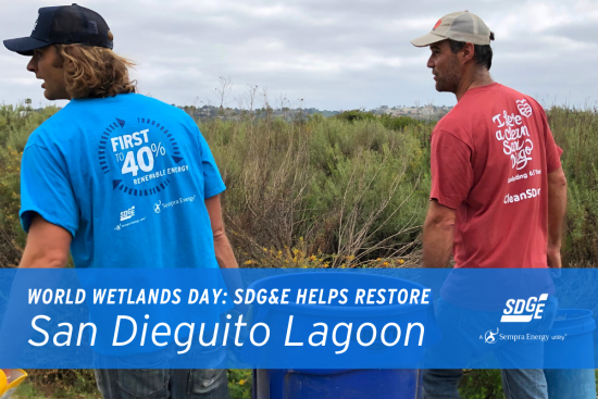 World Wetlands Day: SDG&E Helps Restore San Dieguito Lagoon 