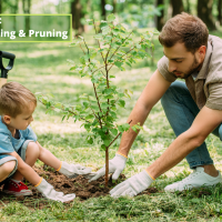 Tree Safety 101: Choosing, Planting and Pruning Without Disturbing Neighborhood Gas or Power Lines