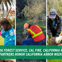   The USDA Forest Service, Cal Fire,  California Releaf, And Partners Honor California Arbor Week 2021