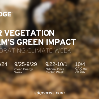 Climate Week: Our Vegetation Team's Green Impact